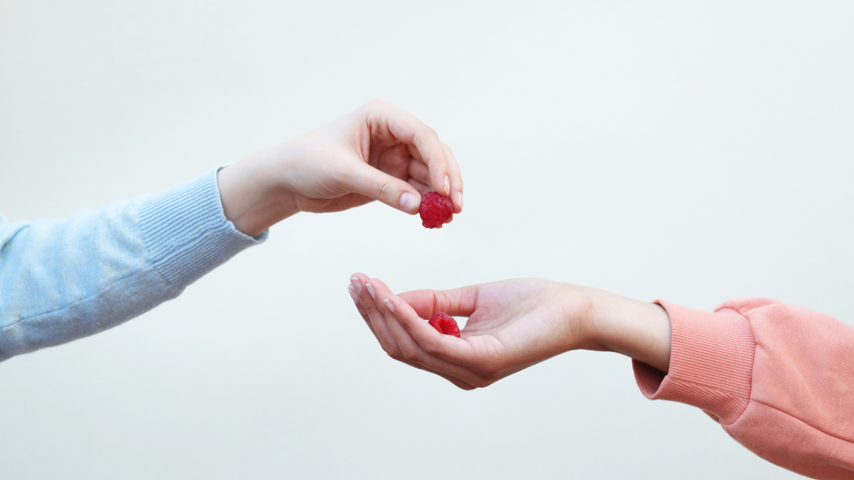 الفرق بين الصدقة والزكاة