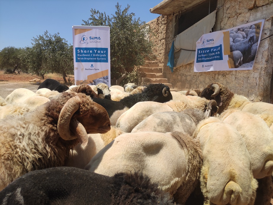 Qurbani in Syria