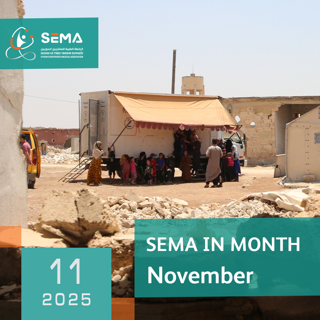 Monthly report 11-2025